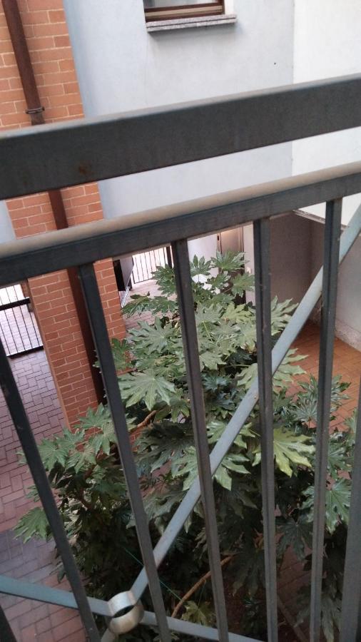 Ama Cityhouse Apartment